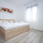 Titi קאבטאט