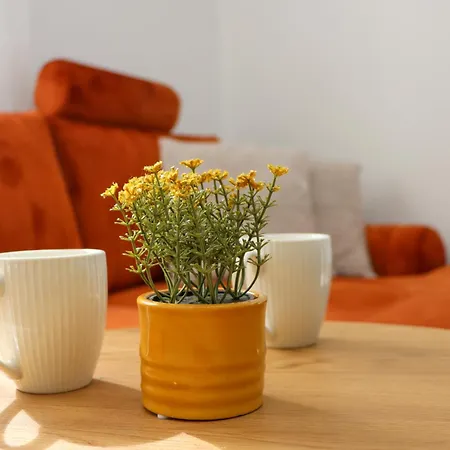 Appartement Titi *