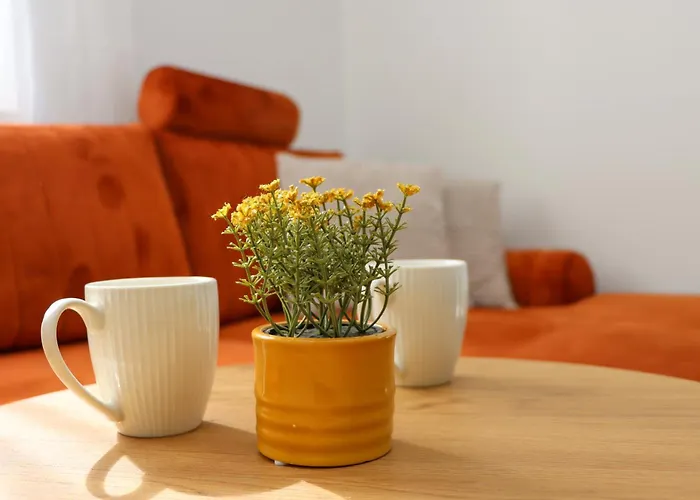 Appartement Titi *